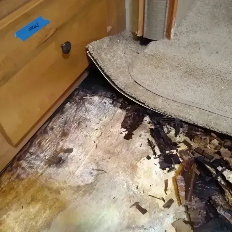 Wood Floor Water Damage in Rio Grande City, TX